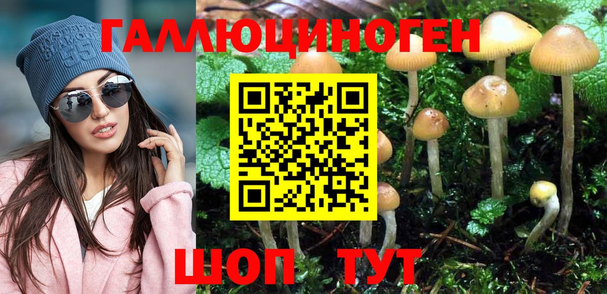 APVP СК   Лсд 25  МЕФ кристаллы  Вход с VPN  Ртищево  NBOMe  Гашиш  КОКАИН  Каннабис 